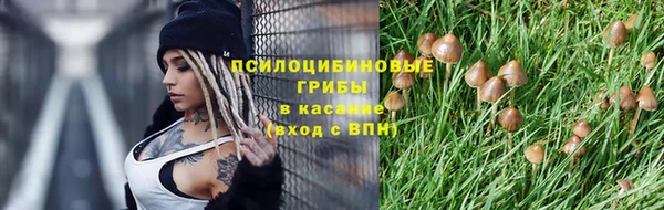 скорость Алзамай