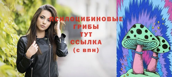 эйфоретик Абаза
