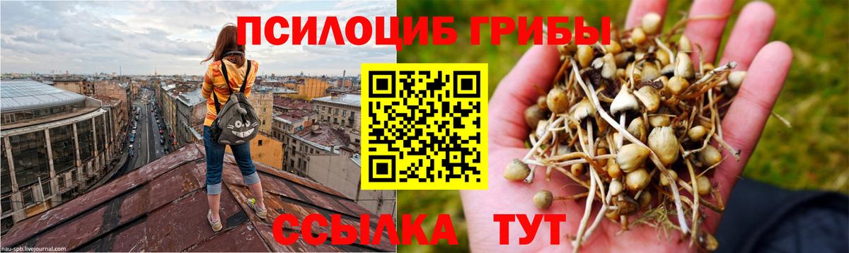 Галлюциногенные грибы мухоморы Фрязино