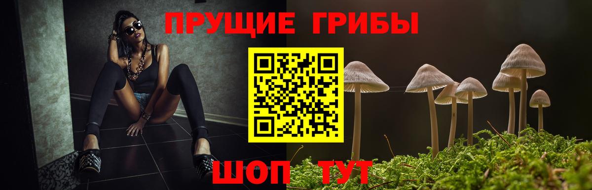 Фрязино  Галлюциногенные грибы Psilocybe  Вход с VPN 