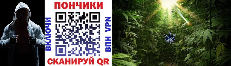 blacksprut сайт  Фрязино  Каннабис AK-47 