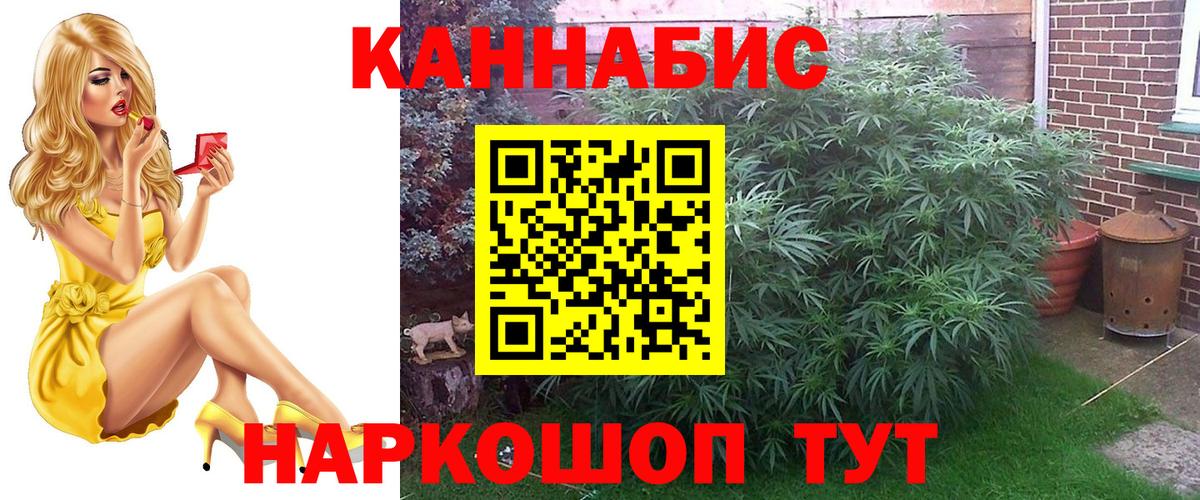 Марихуана план  МАРИХУАНА индика  Вход с VPN  Фрязино 